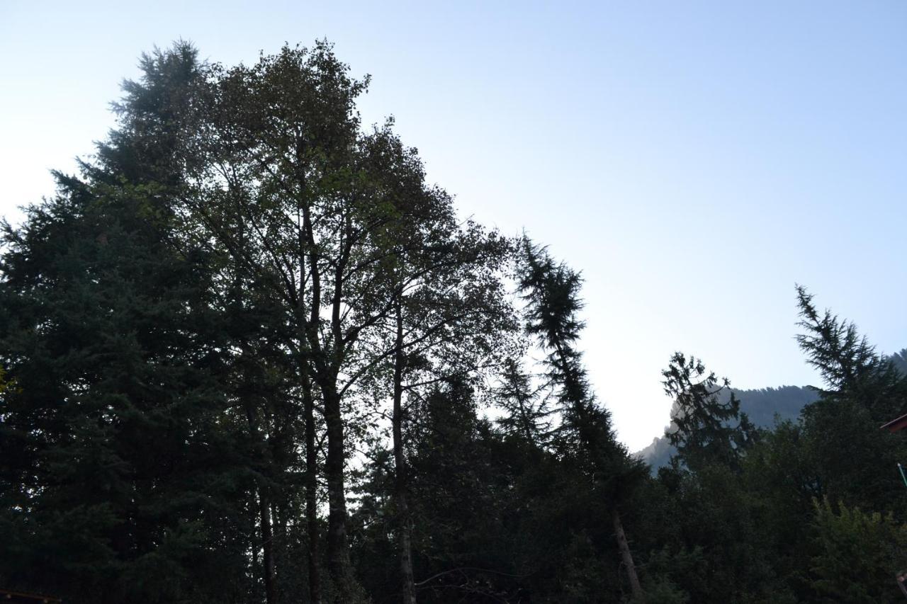 Forest Wood Cottage Manāli Zewnętrze zdjęcie